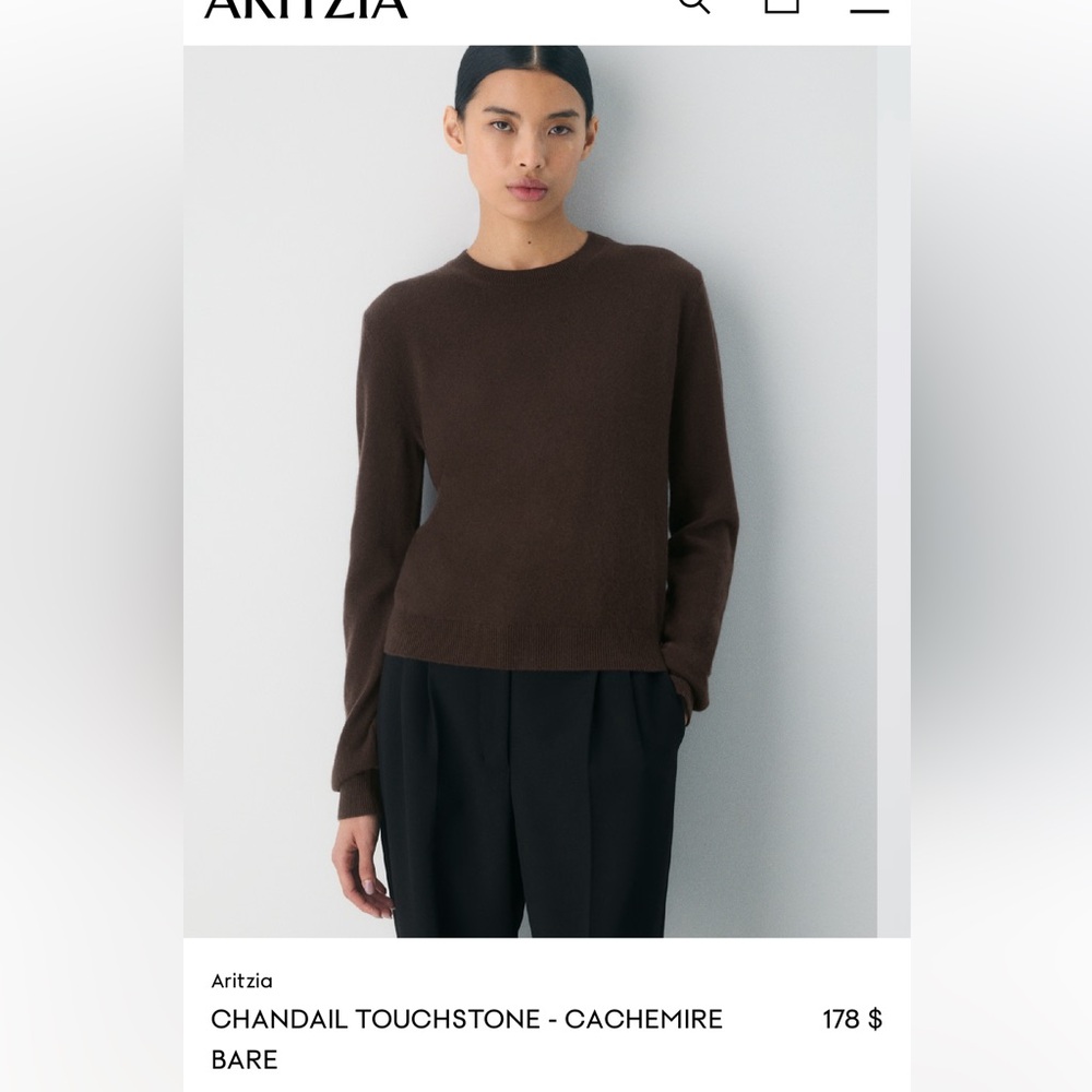 Aritzia Cashmere Sweater Brown Cropped Crewneck Touchstone Size XS